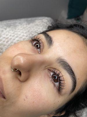 Lash lift + tint