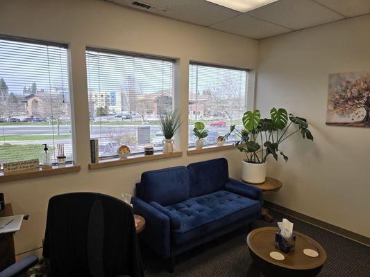 Ginger Verhaag Counseling Services