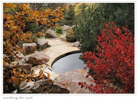 Altgelt & Associates