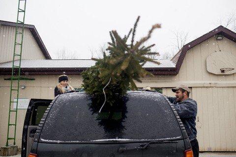 Petiprin’s Christmas Tree Farm