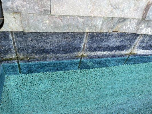 Renova Pool Tile Cleaning