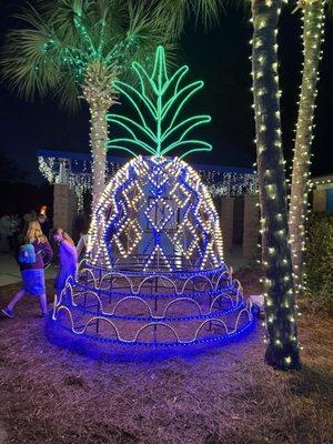 James Island Festival Of Lights