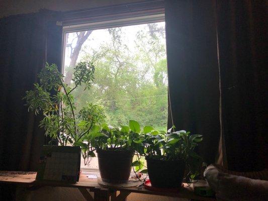 Stormont Vail Hospital