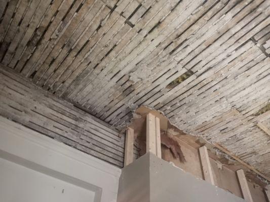 Goss Ave Remodel: Demo, bedroom ceiling
