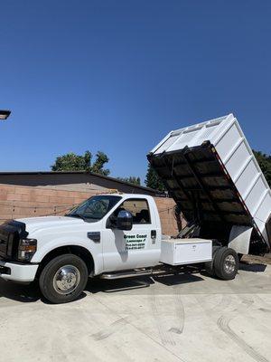 Green Coast Landscape
