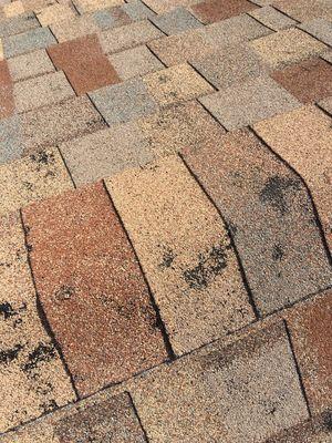 Blue Diamond Construction