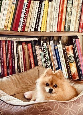 West Park Animal Hospital