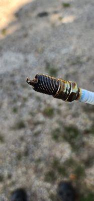 Oil soaked spark plug.