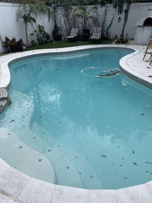 Ools Pool Cleaning