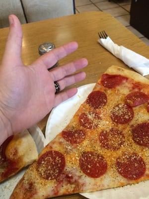 That's a big piece of pizza!