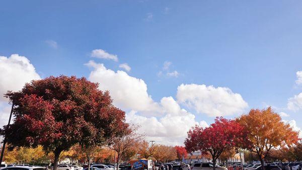 fall colors outside the warehouse