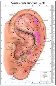 Auricular Therapy Chart