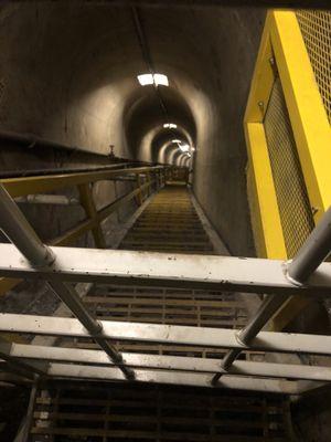 Stairs going down. 300 plus!