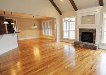 Black Dog Construction