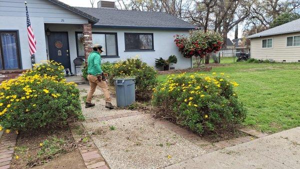 MOONFLOWER GARDENS SERVICE