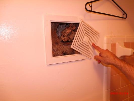 Very possible code violations, including but not limited to depmnt of health hazards, not good for health.