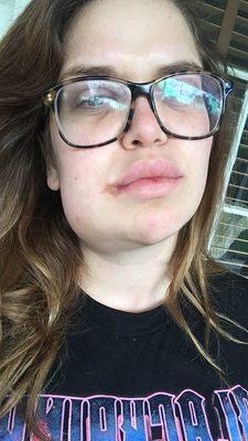 Michael H Robbins, DDS