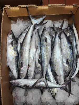 La Mexicana Market Ws