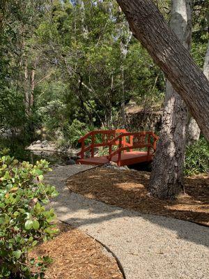 Japanese Garden at VA West