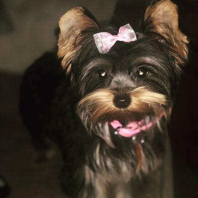 El Dorado Hills Family Dentistry