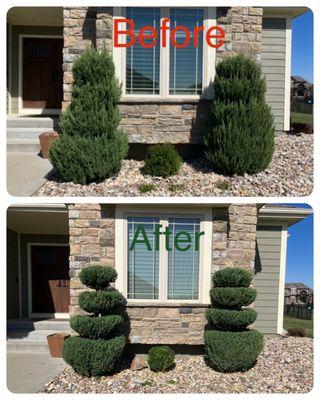 Royal Tree Service