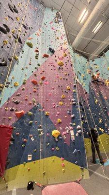 Ascent Studio Climbing & Fitness