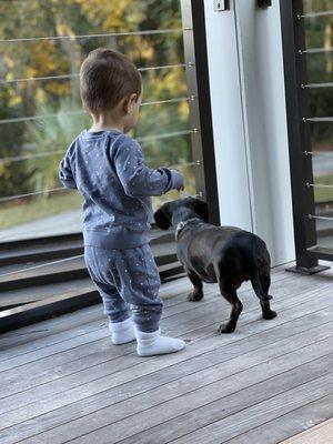 Guardian Angels Sitting Service