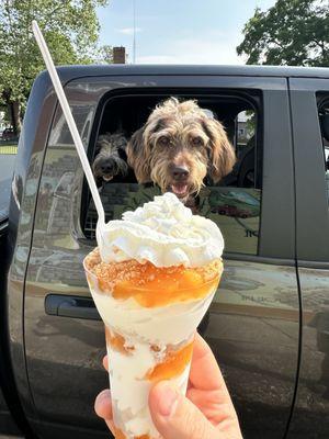 The Village Scoop and More