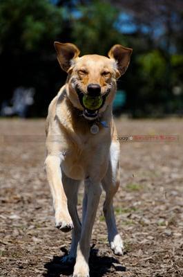 Brigitte Bard Photography