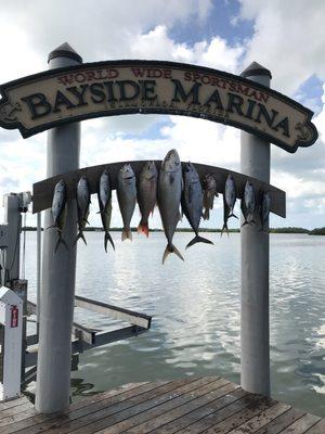 Angler's Answer Sportfishing