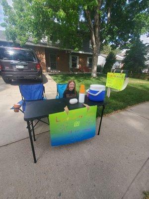 Finn and Grey's Lemonade