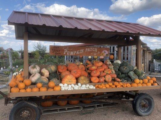 Pecan Creek Farm and Ranch