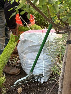 Princess 21 Lawn Care Service