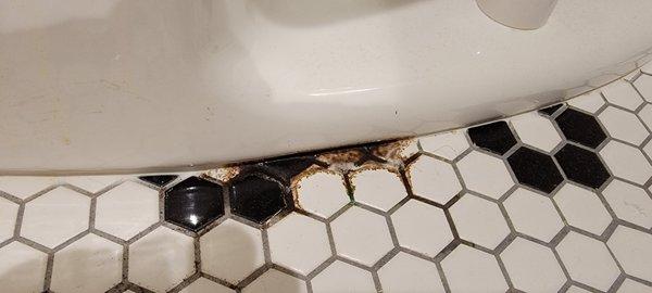 Sam's handy-work: base of toilet leaking because it was not seated correctly.