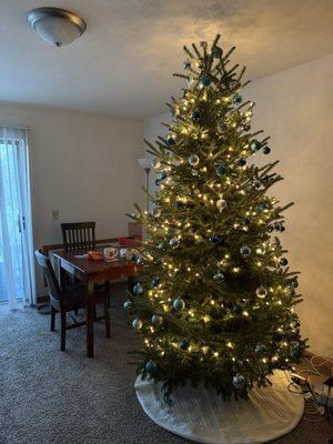 Capaul's Christmas Tree Farm