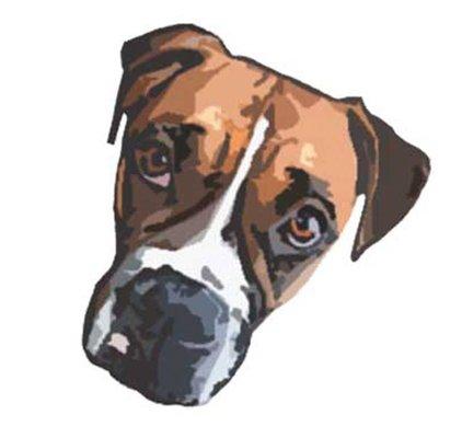 Mountain Dog Spa & Boutique