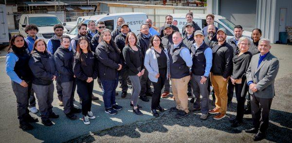 Pestec Team