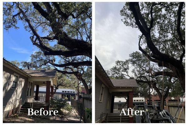Cypress Tree Service