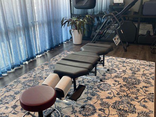 Vitalize Chiropractic - Salmon Creek