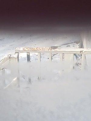 The Jami Naturalite Association