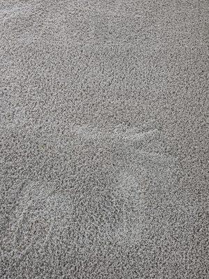 After photo..removed blue ink from carpet