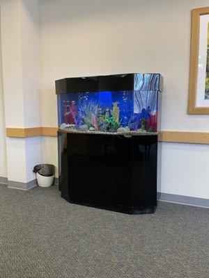 Sarah Kleinman, APN - Northshore Medical Group