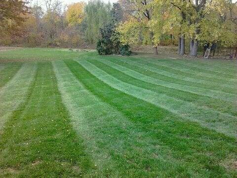 Indy Cuts Lawn & Landscape