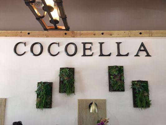 The inside of the store