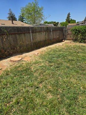 Jaramillo Tree Service