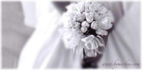 Markus Baue Photography