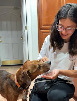 Whispers Pet Sitting