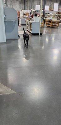 The BEST customer relations specialist!