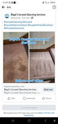 Boyd's Carpet Cleaning Services