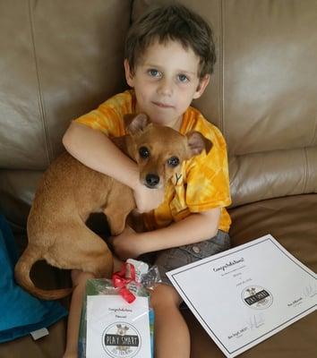 Play Smart Dog Training